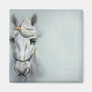 AIMANT CHEVAL