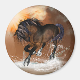 Aimant Cheval