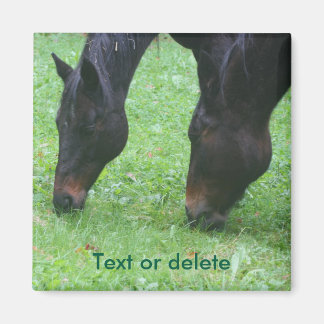 Aimant Cheval Amis Pâturage Animal Personnalisé