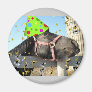 Aimant Cheval animal de fête
