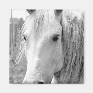 Aimant Cheval avec Herbe