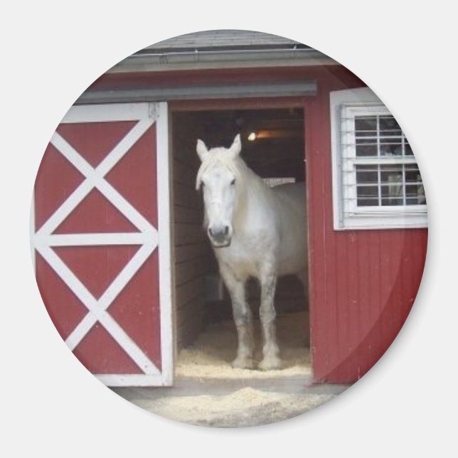 Aimant Cheval Blanc Dans La Grange Rouge (Devant)