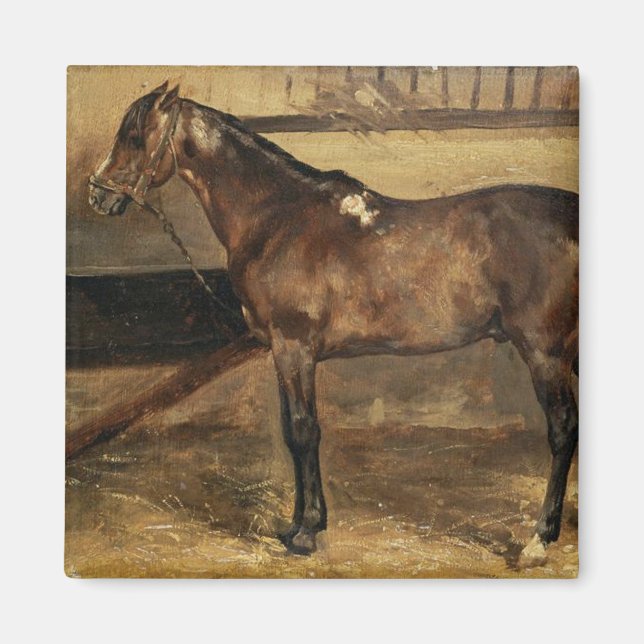 Aimant Cheval Brown dans les stalles stables (Devant)