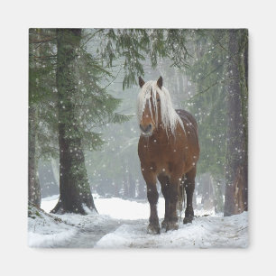 Aimant Cheval Brown dans une forêt d'hiver avec chute de