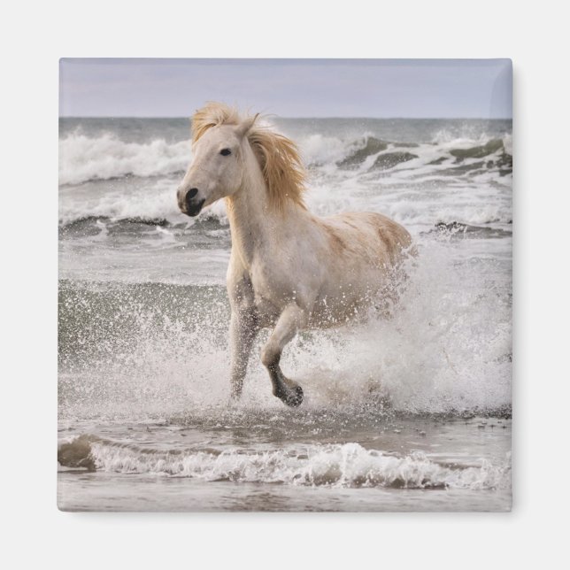 Aimant Cheval Camargue sortant de la vague (Devant)