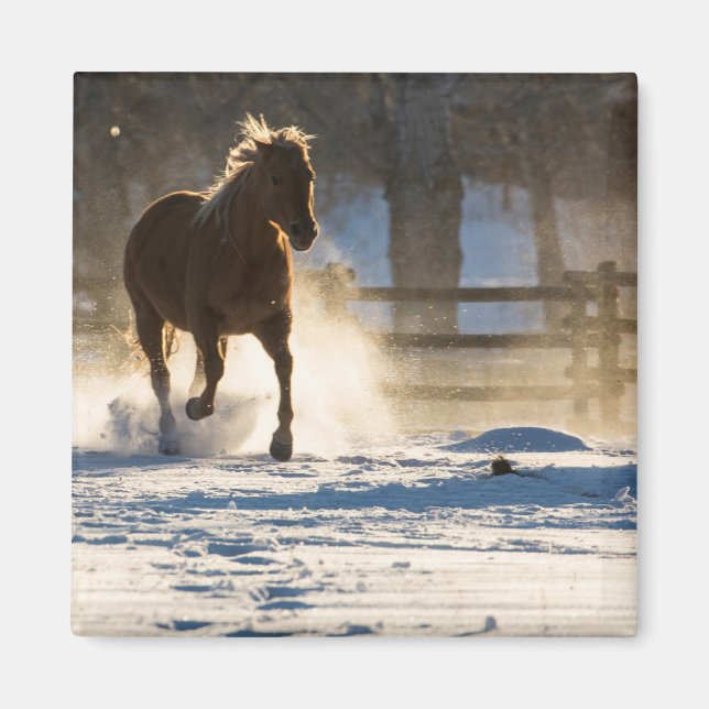 Aimant Cheval courant dans la neige (Devant)