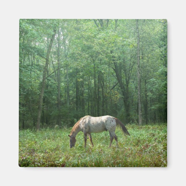 Aimant Cheval dans le pré (Devant)