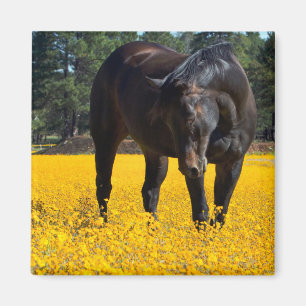 Aimant Cheval de baie dans un champ de fleurs jaunes
