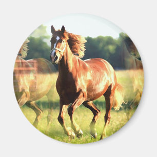 Aimant Cheval de course