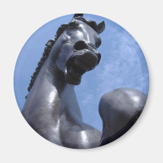 Aimant Cheval de Troie