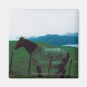 Aimant Cheval derrière la barrière