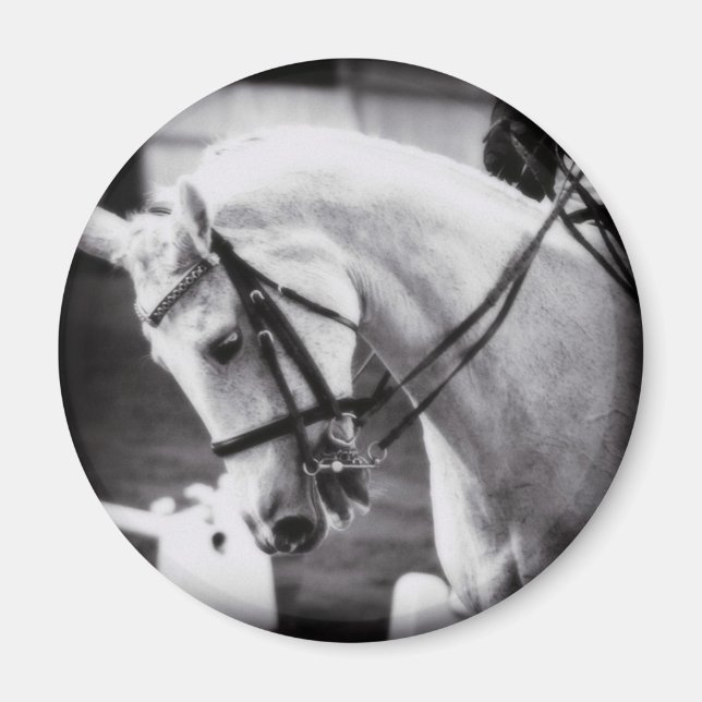 Aimant Cheval Dressage noir et blanc (Devant)