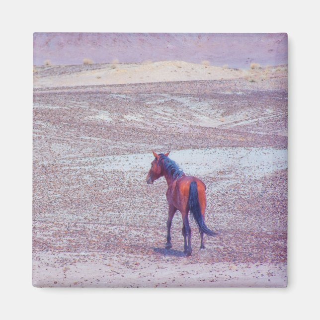 Aimant Cheval du désert P8640 (Devant)