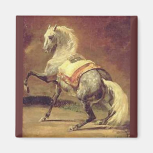 AIMANT CHEVAL GRAY REMPLI