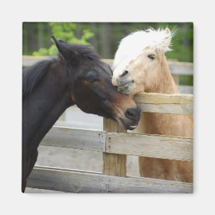 Aimant Cheval Lovin