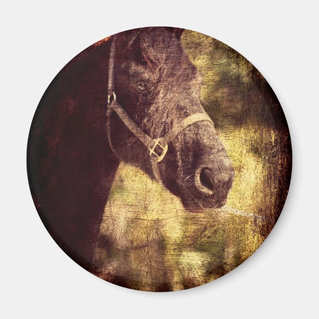 Aimant Cheval noir (Devant)