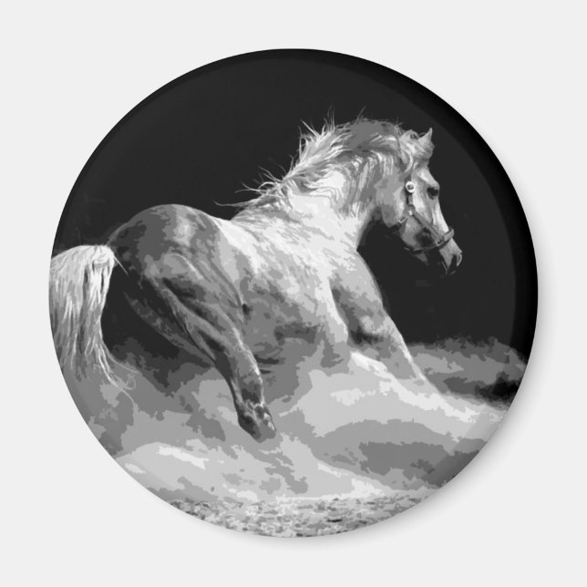 Aimant Cheval noir et blanc en action (Devant)