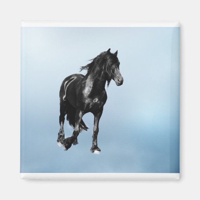 Aimant Cheval tournant soudainement (Devant)