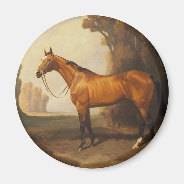 Aimant Cheval vintage Brown Thoroughbred (Devant)