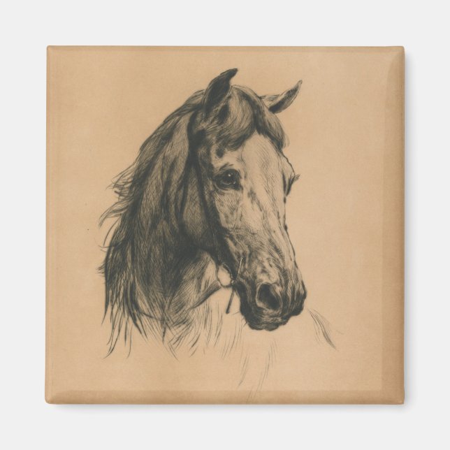 Aimant Cheval's Head (par Heywood Hardy) (Devant)