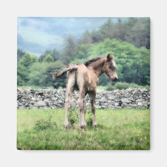 AIMANT CHEVAUX (Devant)