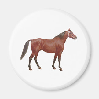 Aimant Chevaux antiques - Thoroughbred