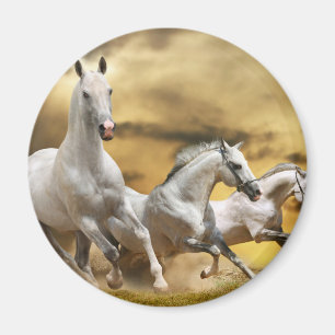 Aimant Chevaux blancs sauvages