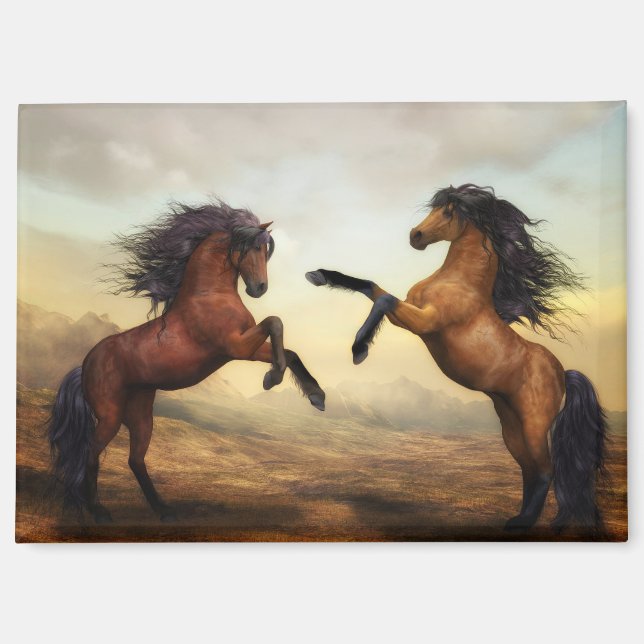 aimant chevaux cabrés (Recto)