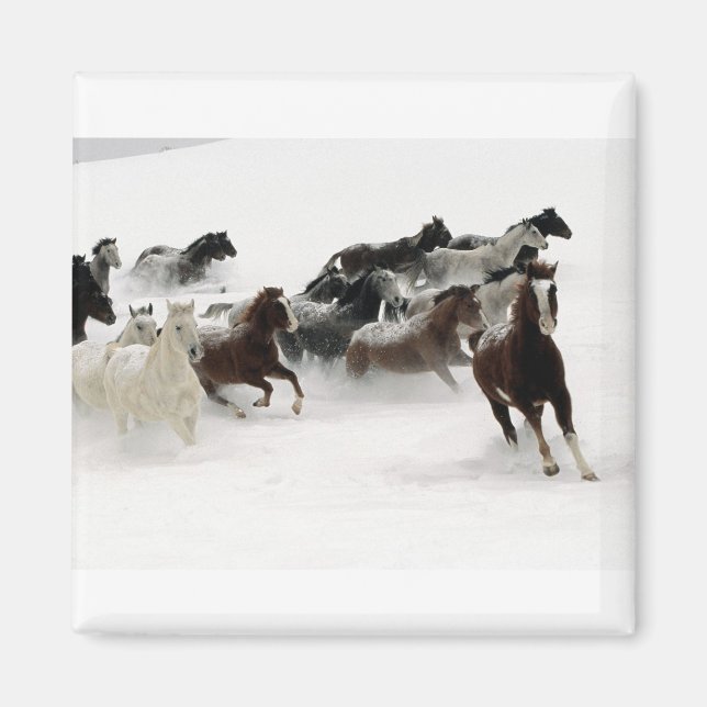 Aimant Chevaux dans la neige (Devant)