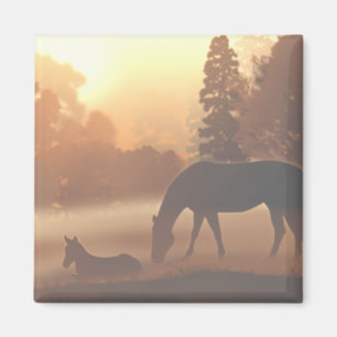 Aimant Chevaux dans le brouillard matinal