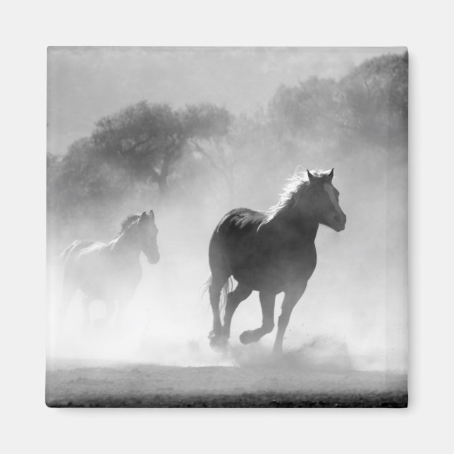Aimant Chevaux de course noir et blanc Photo Artwork (Devant)