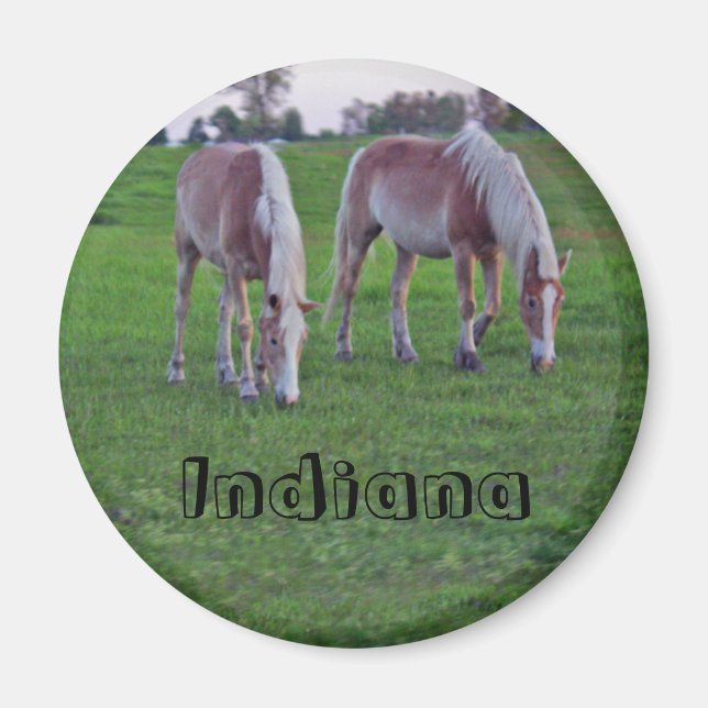 Aimant Chevaux de l'Indiana (Devant)