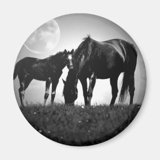 Aimant Chevaux et lune