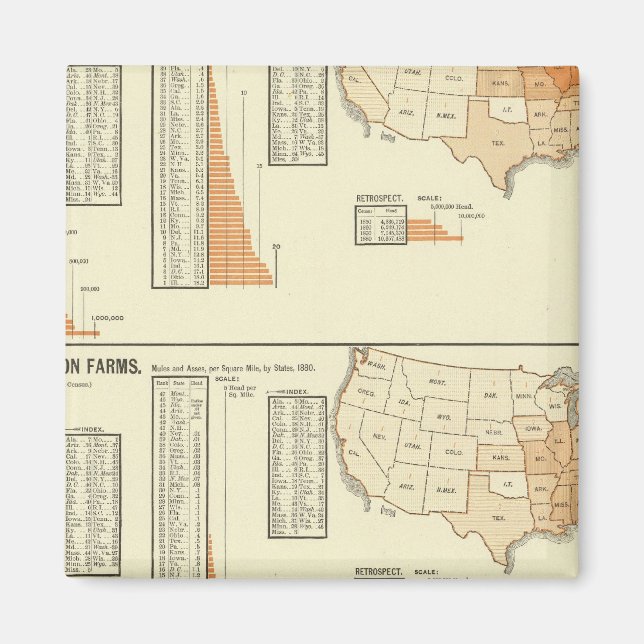 Aimant Chevaux, mules, ânes, moutons (Devant)
