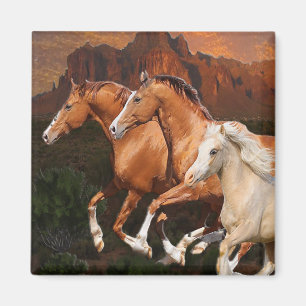 Aimant Chevaux sauvages d'Arizona