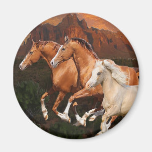 Aimant Chevaux sauvages d'Arizona