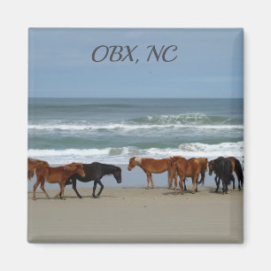 Aimant Chevaux sauvages OBX NC