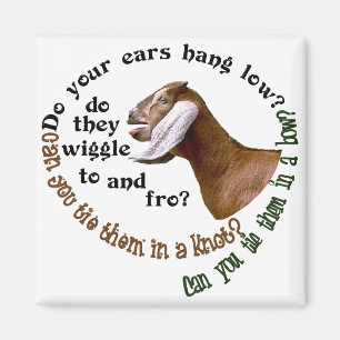 AIMANT CHÈVRE DE NUBIAN - VOS OREILLES ACCROCHENT-ELLES