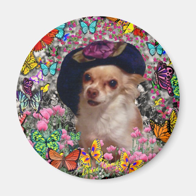 Aimant Chi Chi dans les papillons - Chihuahua (Devant)
