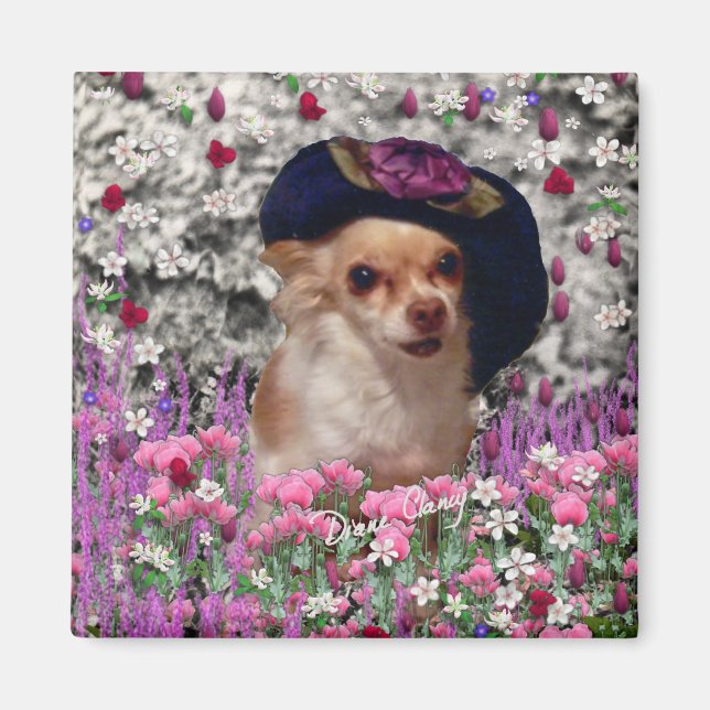 Aimant Chi Chi en Fleurs - Chihuahua chiot en Casquette m (Devant)