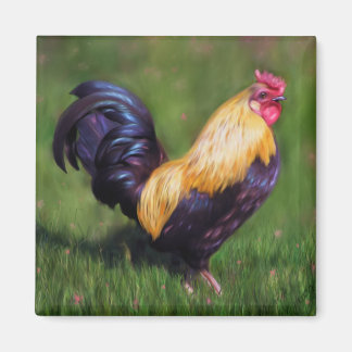 Aimant Chicken Art Stuart Bantam Rooster