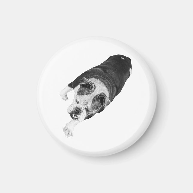 Aimant Chien à pas en avant ajoute un élan aux espaces de (Devant)