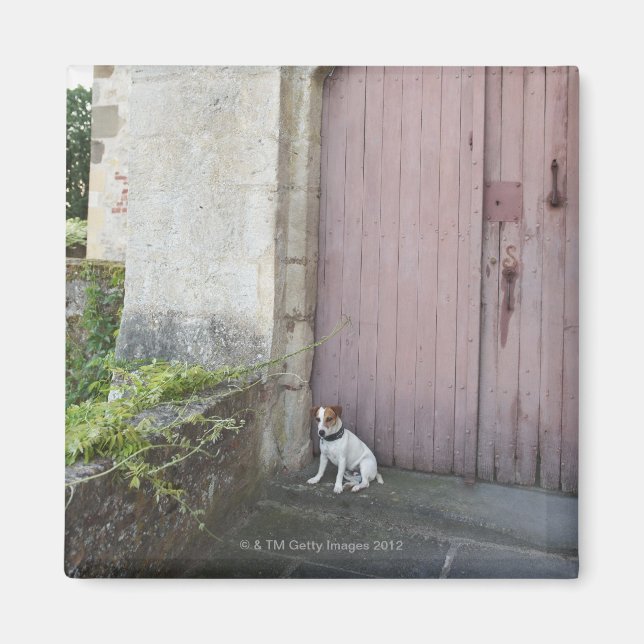 Aimant Chien assis devant des portes closes (Devant)