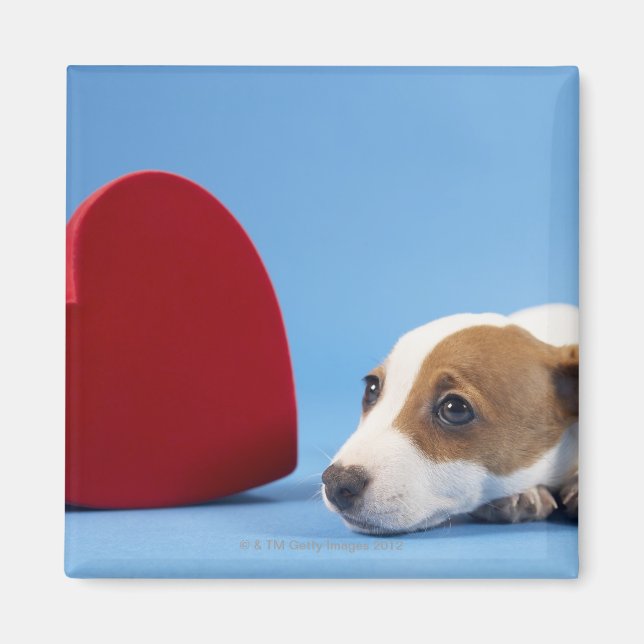 Aimant Chien au coeur (Devant)