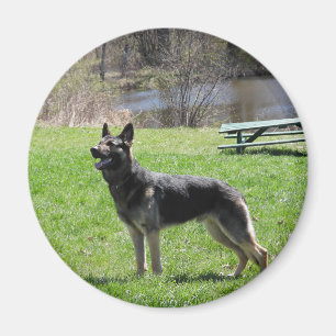 Aimant Chien berger allemand