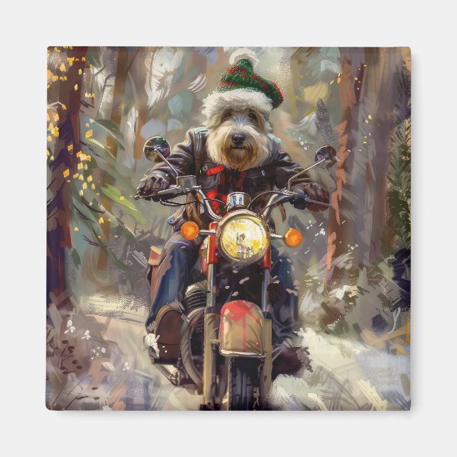 Aimant Chien Bernedoodle à moto Noël (Devant)