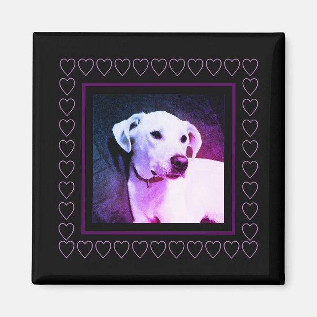 Aimant Chien blanc mignon Coeurs pourpres Cadre Saint-Val (Devant)