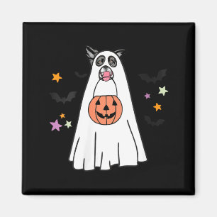 Aimant Chien Border Collie Femme Noir Et Blanc Boo