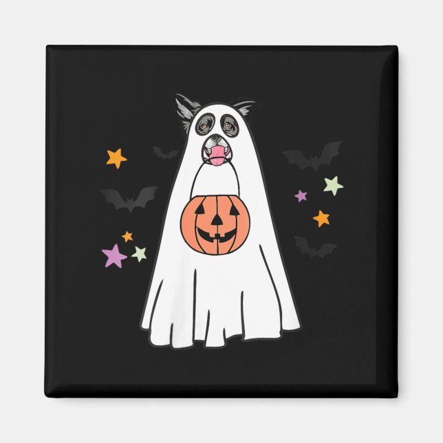 Aimant Chien Border Collie Femme Noir Et Blanc Boo (Devant)