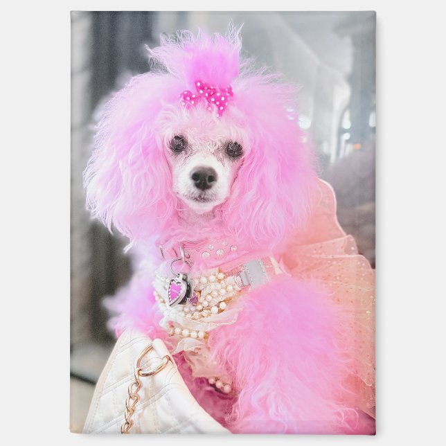 Aimant chien-caniche rose, cadeau aimanté chien-ca (Recto)
